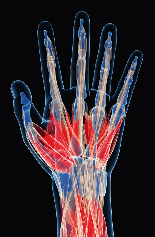 Hand Surgery Wrist Injuries