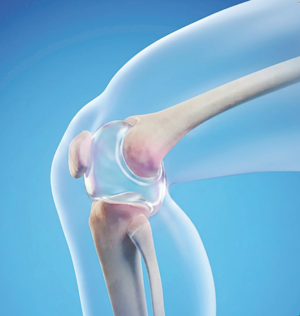 Injection Therapies